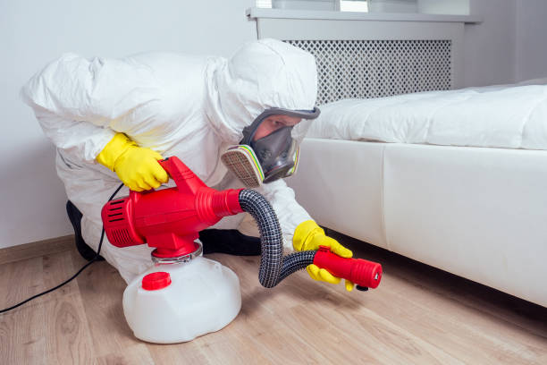 Best Wasp Removal Services  in Blue Springs, MO