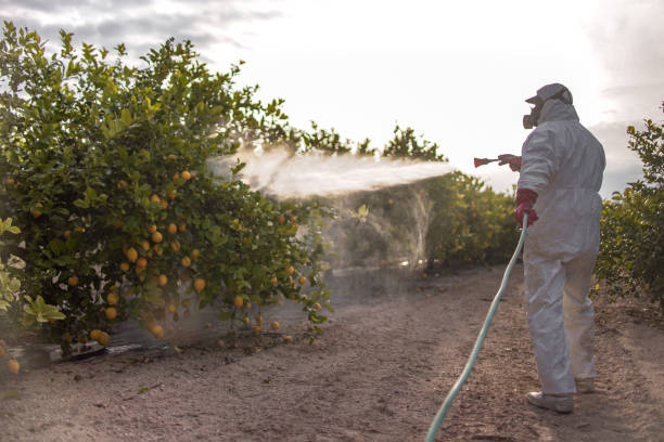 Best Exterminator Services  in Blue Springs, MO