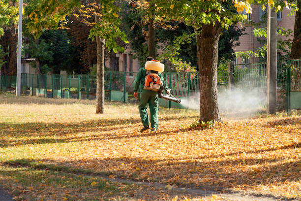 Blue Springs, MO Pest Control Company
